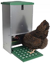 automatische voerbak geschikt voor kippen en eenden