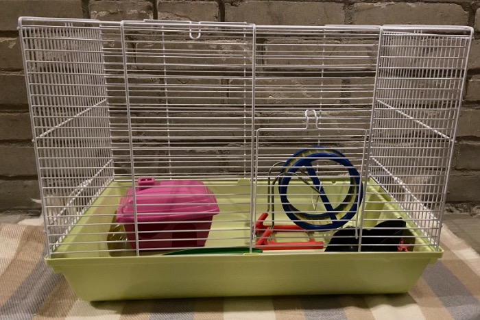 nieuw hamsterverblijf met accessoires